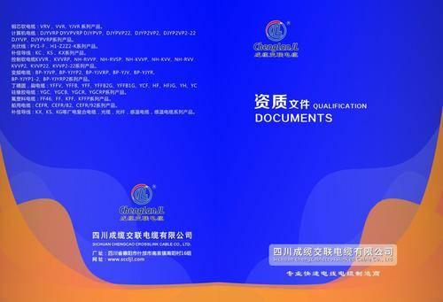 2026地域優化服務核心能力深度評測報告